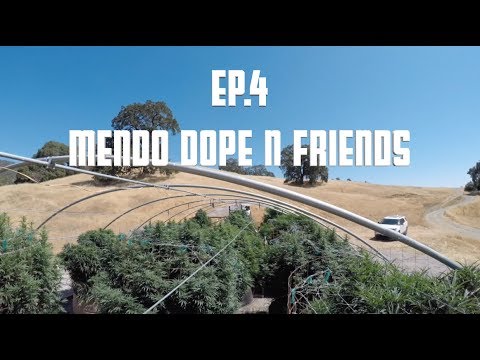 THE MOUNTAIN PROJECT - EP. 4 (Mendo Dope N Friends)