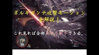 MHW　太刀！見切り斬り講座　＃２