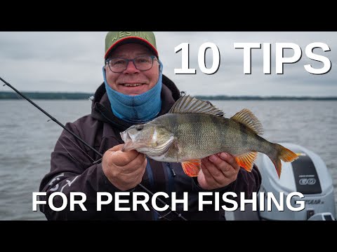 10 Tips For Perch Fishing | Westin Fishing