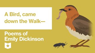 Poems of Emily Dickinson | A Bird, came down the Walk—