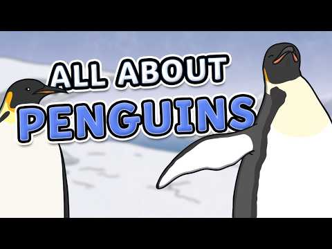 Where do Penguins Live? 🐧 Penguin Fact File for Kids!