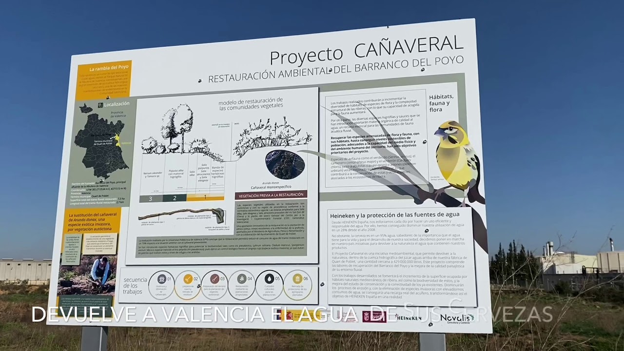 Heineken devuelve a Valencia el agua prestada para fabricar la cerveza Amstel