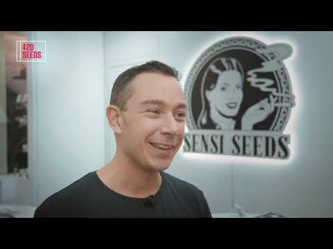 Interview with Seedbank - Sensi Seeds at Cannafest 2018