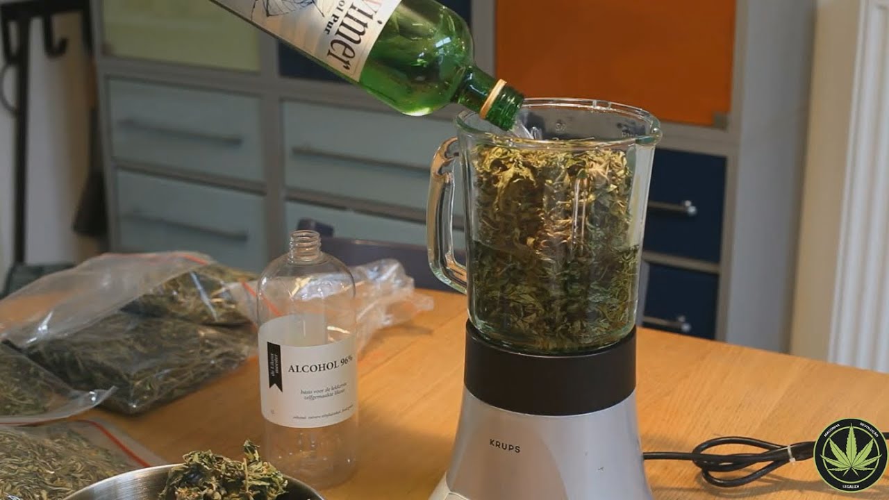 CANNABIS ÓLEO - COMO FAZER ÓLEO MACONHA