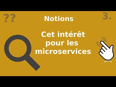 NOTIONS 3 POURQUOI LES MICROSERVICES