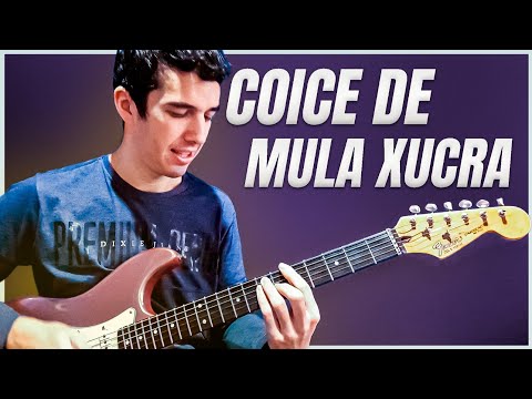 Grupo Portal Gaúcho – Coice de Mula Xucra (Base de Vaneira na Guitarra)