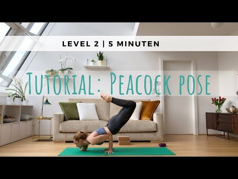 Tutorial: Peacock / Mayurasana / Pfau | doktor yoga
