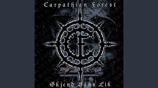 Martyr - Sacrificulum (Drunk and Alive)