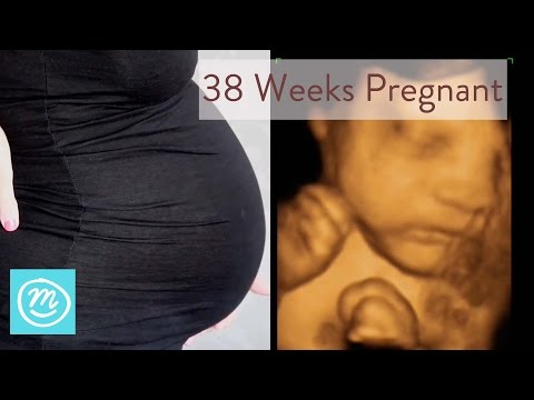 38 Weeks Pregnant: What You Need To Know  - Channel Mum