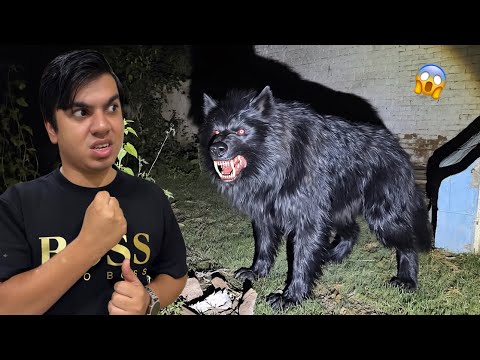 Zoo Mein Ya Kesa Janwar Agea 😱