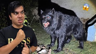 Download lagu Zoo Mein Ya Kesa Janwar Agea 😱 mp3