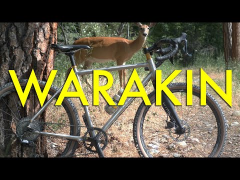 STAINLESS STEEL GRAVEL BIKE!