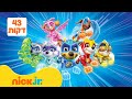 מפרץ ההרפתקאות ספיישל גורים אדירים 43 דקות ניק ג וניור