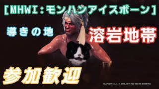 [MHWI]大団長(ラージャン)きたし溶岩地帯上げまする～初見さん大歓迎～[モンハンアイスボーン]
