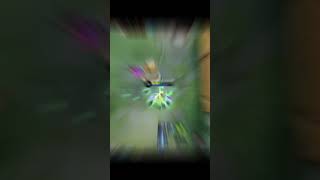 Moblie legend short Proplayer VS Noobplayer v15