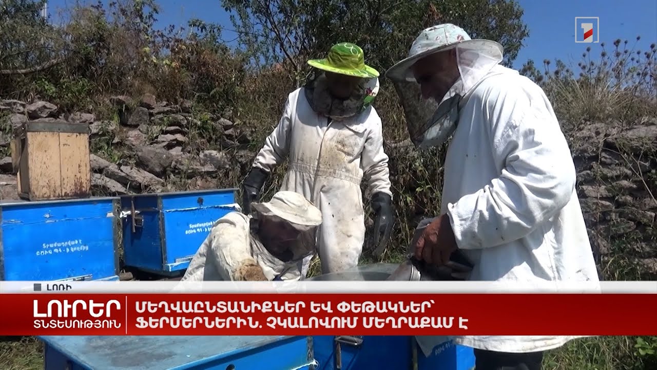 Մեղվաընտանիքներ և փեթակներ՝ ֆերմերներին. Չկալովում մեղրաքամ է