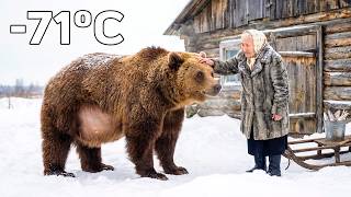 🐻 The Bear She Raised as a Cub Returned Pregnant to Her Door Years Later in -71°C Siberia