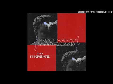 DR GABBA X MEEKZ - DO YOU LIKE ME (HOUSE MIX) prod.Z1LEXXIX