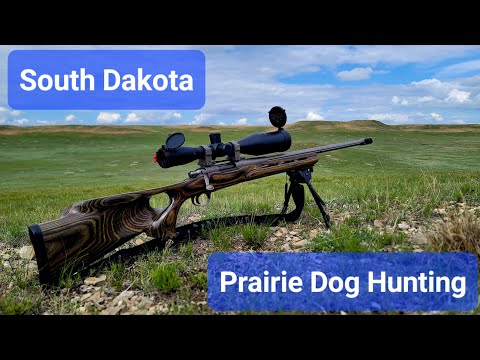 Prairie Dog Hunting, South Dakota