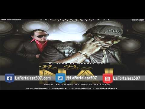 Dj Sech Ft Murder Cat   No Dice Na