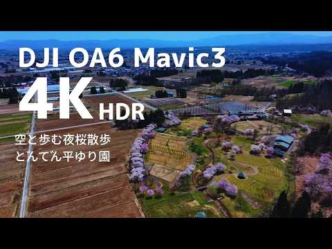 空と歩む夜桜散歩 どんでん平ゆり園｜山形県飯豊町