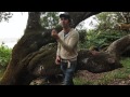 Shots Of Awe The Power Of Possibility Legendado PT BR