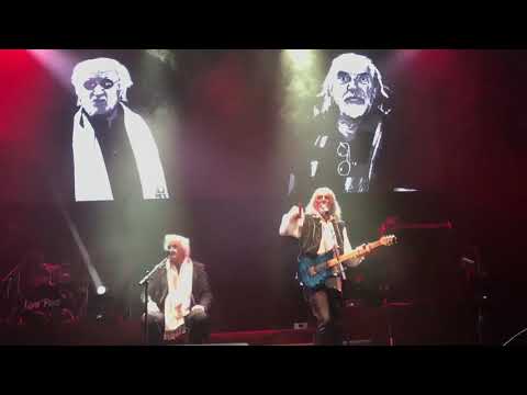 Shapiro  Vandelli - Bisogna Saper Perdere