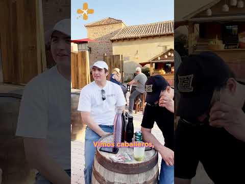 Puy du Fou: Die besten Shows, Tipps und Fehler, die Sie vermeiden sollten!