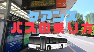 🚌ケアンズ市内発、バスの乗り方と日本のバスとの違い🚌2020年/10歳/オーストラリア生活/