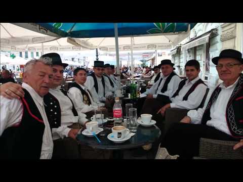 MPS baje ivanovac PROCVJETALA GRANA JORGOVANA