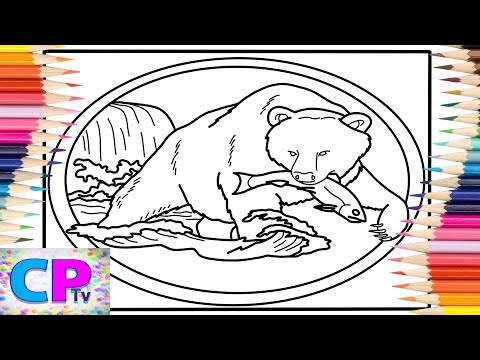 Grizzly Bear Coloring Pages/Grizzly Bear Caught the Fish/Diviners - Savannah/Philly K/NCS Release