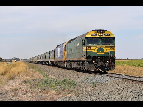Aussie Train Chases: Pacific National G520 & BL30 on 7731V empty Grain Train to Ararat - 28/02/2021