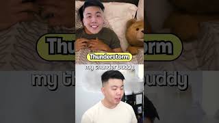 What Would You Do During A Natural Disaster?