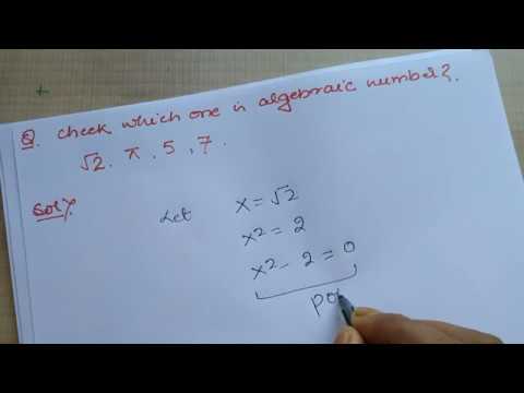 image-What is meant by algebraic number?