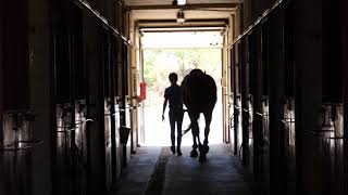 Zaragoza Hípica - Instalaciones