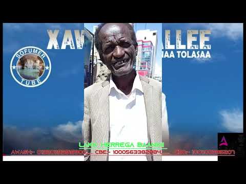 Seenaa_Gabaabaa Artist  Ittaanaa Tolosaa