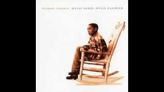 Dionne Farris - Blackbird (360p_H.264-AAC)