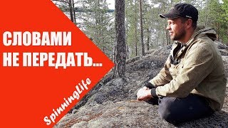 Рыбалка в карелии летом 2020 дикарем форум