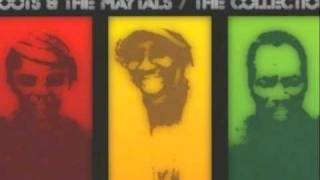 The Maytals- Never Grow Old