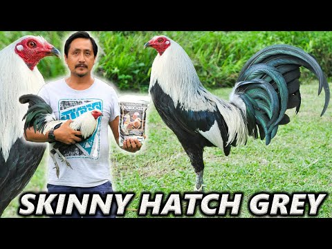 Skinny Joel Hatch Grey Rafael Nene Abello Possum 226 Sweater Paragon Farm Visit