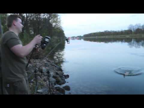 Carpkings - April 2014