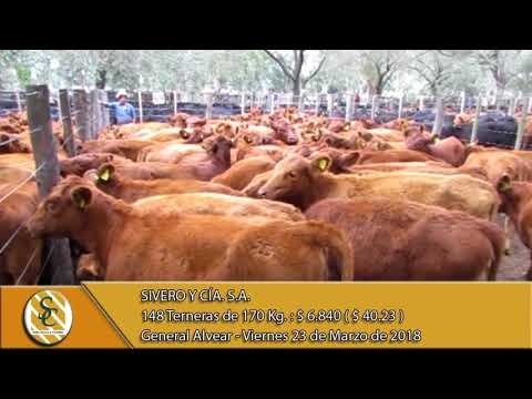 23-03-18 Venta de Hembras - Sivero y Cía. S.A. - General Alvear