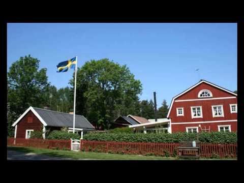 Swedish House Mafia - Show One World Behind (Hardwell Vs. Dim Falker Booty)