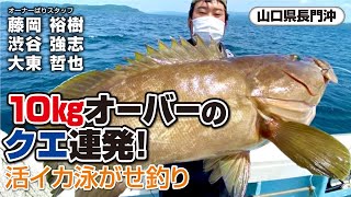 10kgオーバーのクエ連発！活イカ泳がせ釣り 【山口県長門沖】