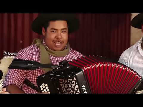 DOMADOS NO SERVIÇO 🗣🪗🎸🐴🧉