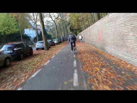 Bike Traffic in Leuven