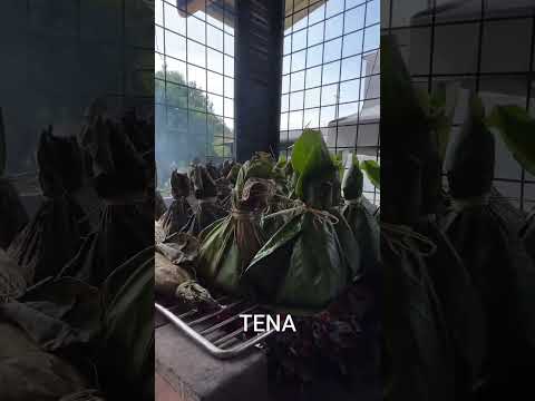 en Tena los mejores maitos #amazonia #tilapia #adventure 3!#napo #ecuador