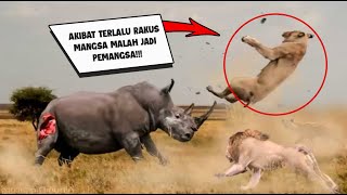 Download lagu Ketika PEMANGSA berbalik JADI MANGSA!!Begini Pertarungan Hewan Buas Di Alam Liar mp3