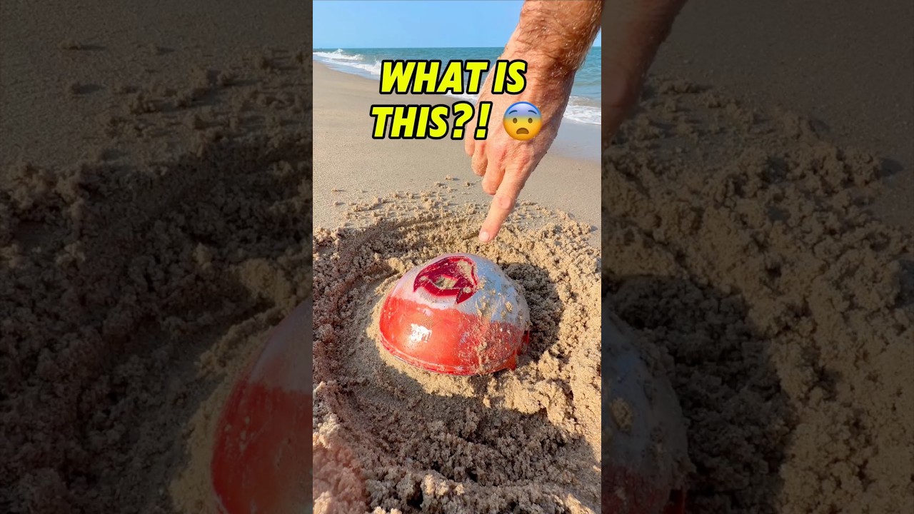 I found THIS at the beach! 😳