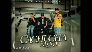 Cachucha Negra- Abraham Vazquez 2023 (audio official)